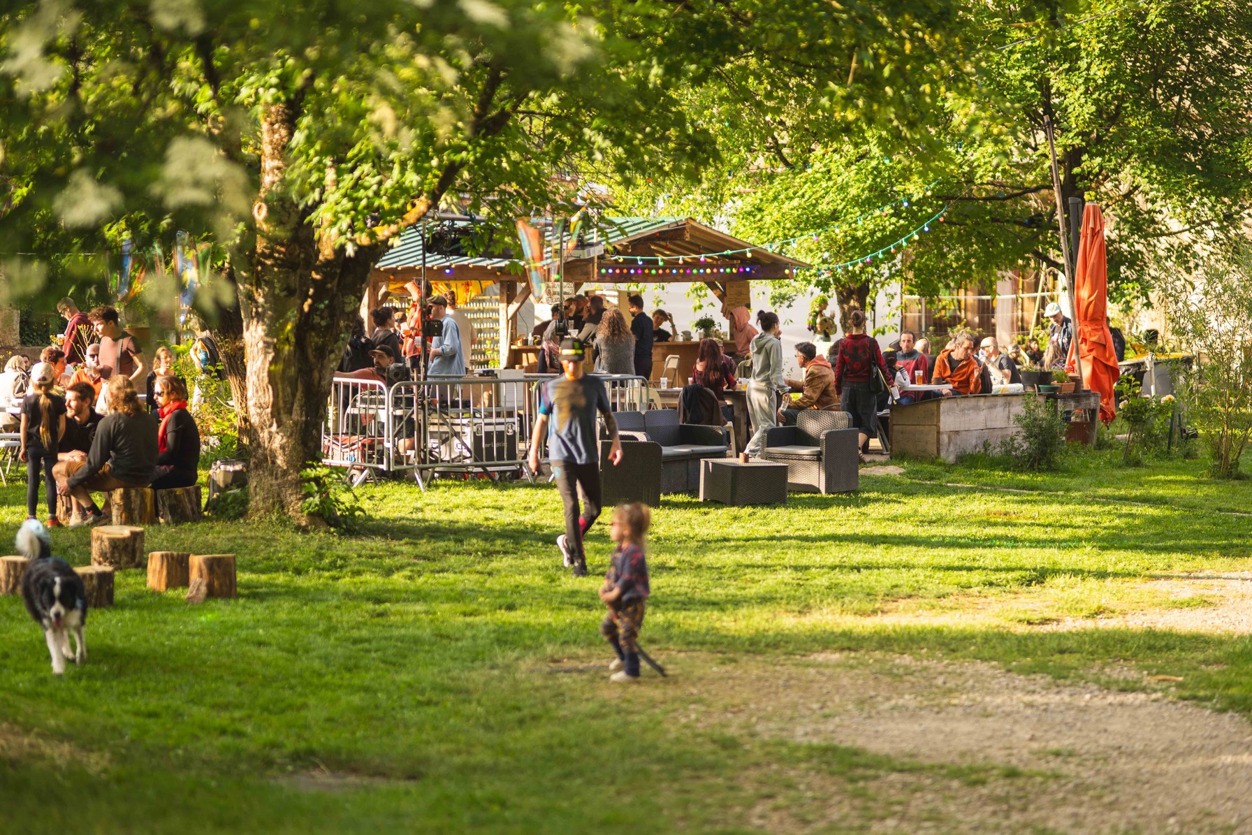 Concert sous les arbres